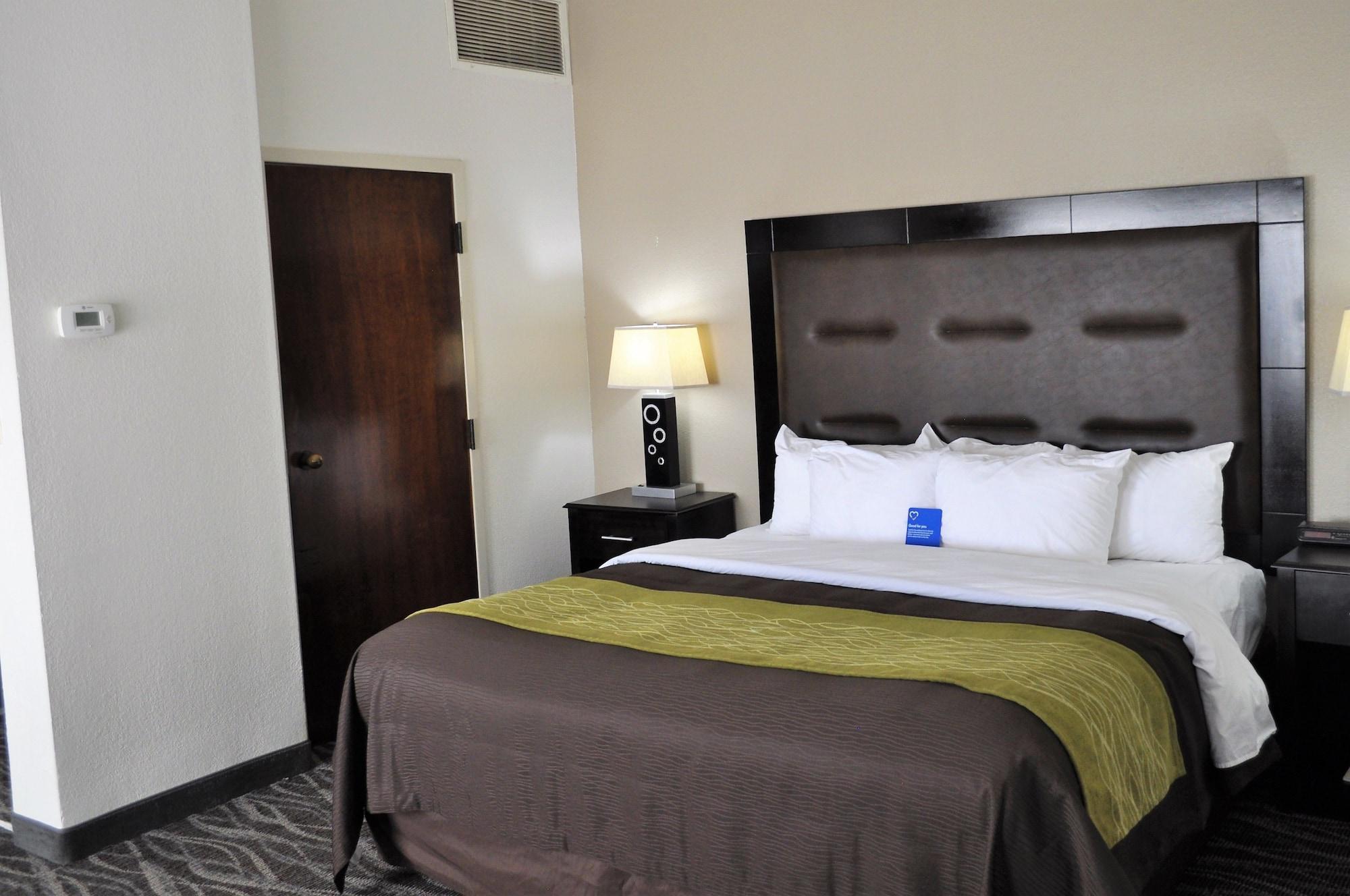 Comfort Inn Downtown Charleston Exterior foto